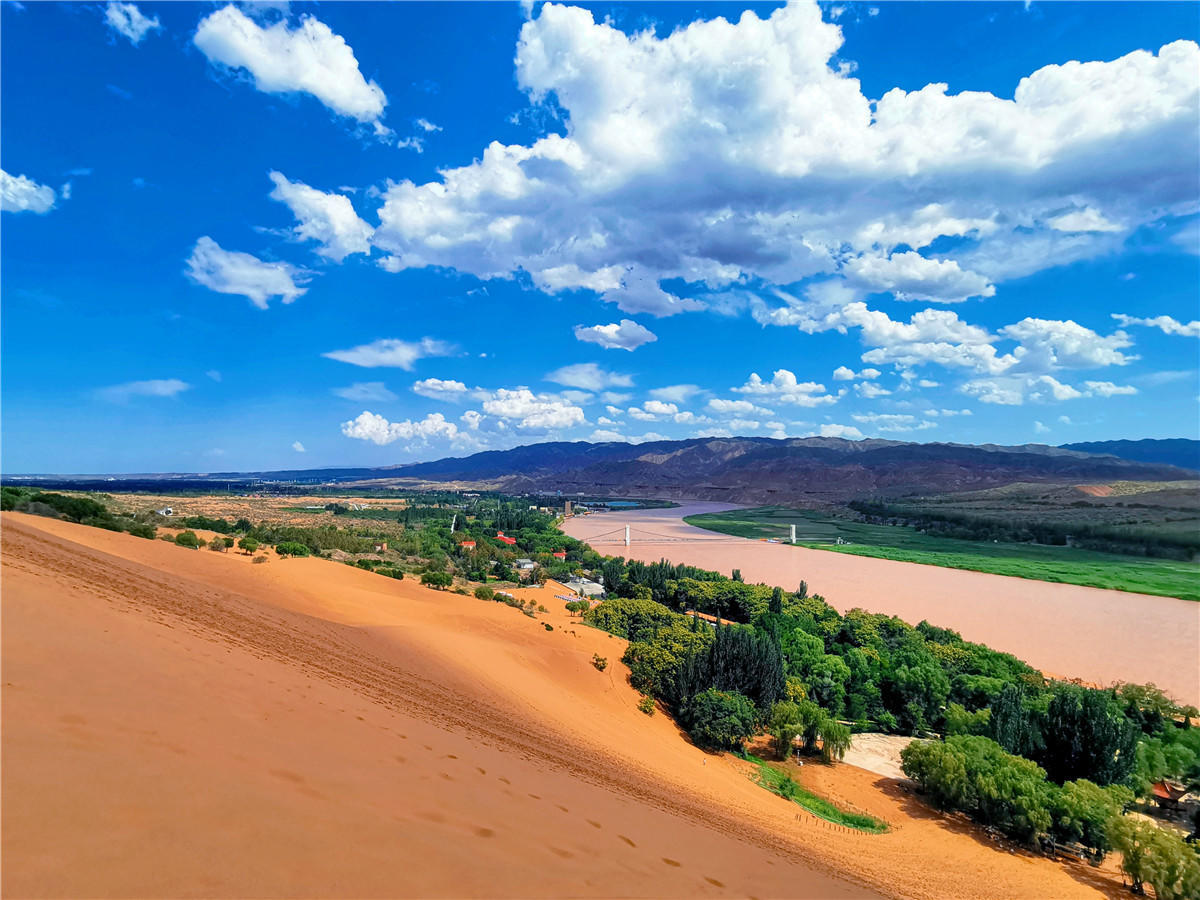 宁夏智造领航,未来生活新境界揭秘